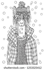 Winter llama in a checkered jacket. Adult Coloring book page. Hand-drawn vector illustration.  Zentangle Coloring book page for adult and children.