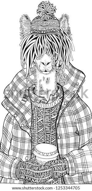 winter llama coffee adult coloring book stock vector