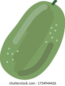 winter melon fresh food vegetable