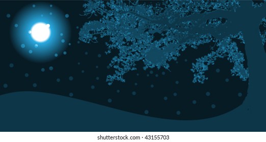 winter nature landscape