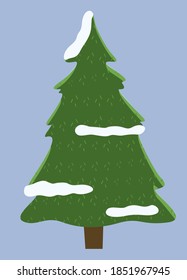 Winter nature prickly spruce, plant fir-tree with snow on the branches isolated on gray background. Lonely green conifer tree in the foreground, frosty day in a pine forest vector flat illustartion