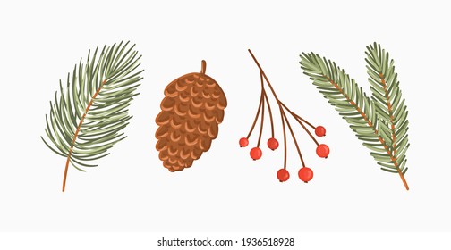 Conjunto de ilustraciones vectoriales de naturaleza invernal. Ramas de coníferas, conos y bayas de rowan. Pino, abeto, fir ramas clipart