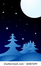Winter Night