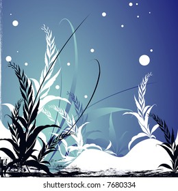 winter night