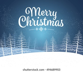 Winter night at Christmas time