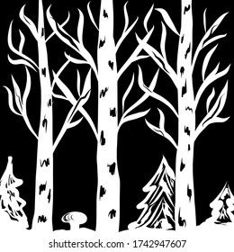 Winter night forest hand drawn vector illustration 