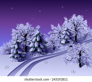 Winter night landscape with trees and road