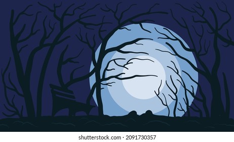 A Winter Night Vector For Background