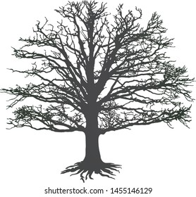 Winter oak tree silhouette vector eps