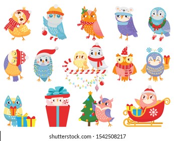Winter owl. Cute christmas birds, owls in scarf and hat and bird mascot. 2020 Xmas owl birdie character in gift box, in sleigh or decorate tree. Isolated icons vector illustration set