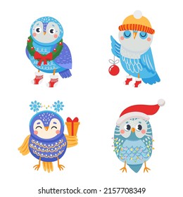 Winter owl. Funny birds with christmas attributes. Animals in xmas wreath, holiday socks holding tree ball, gift box