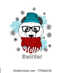 Winter panda in hat isolated on the white background. Vector illustration.