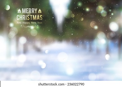 Winter park alley, vector blurred background. Merry christmas and happy new year.
