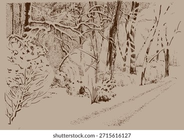 Winter park. Snow-covered trees. Line sketch converted into vector.
