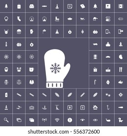 winter, party, entertainment and other icons pack