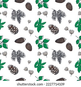 winter pattern with cones and leaves