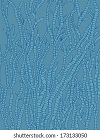 Winter pattern on window. 