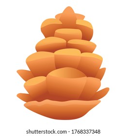 Winter pine cone icon. Cartoon of winter pine cone vector icon for web design isolated on white background