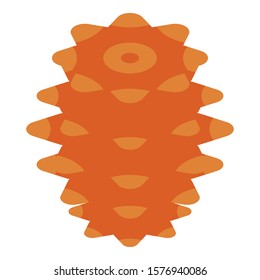 Winter pine cone icon. Isometric of winter pine cone vector icon for web design isolated on white background