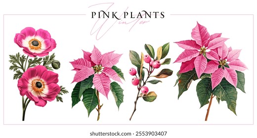 Winter pink flowers and plants isolated on a white background. Vintage painting style illustration.