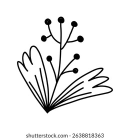 Winter plant with berries, cartoon doodle vector illustration isolated on white background. Hand drawn monochrome flower outline.