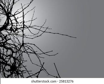 Winter plant vector background.