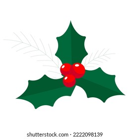 Winter plants with berries. Could be used for Christmas design. 