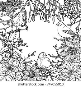 Winter plants with birds pattern. Nature square black and white composition for greeting cards, mock ups, coloring page and covers with text place.