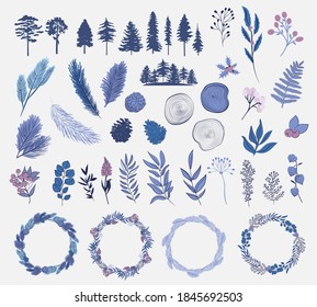 Winter plants collection. Tree, winter flower, twig, wreath, branch, cone. Editable vector illustration.