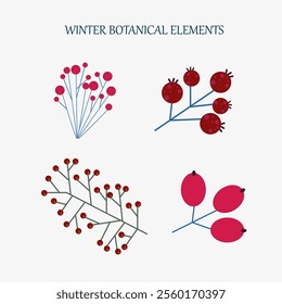 Winter Plants Design Elements natural elements flat color vector objects set. New year holiday decorations craft illustrations bundle on white background