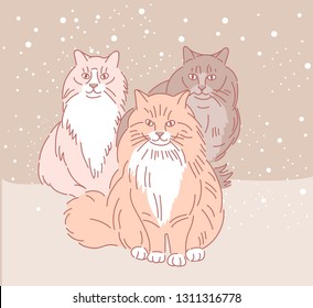 Winter portrait of a beautiful Siberian cats sitting on the snowhand, drawn style vector design illustrations