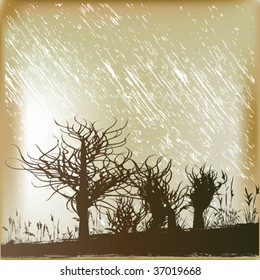 Winter Rain