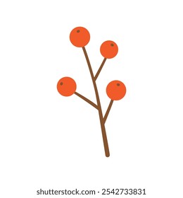 Winter red berries branch isolated on white background.