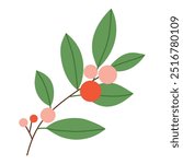 Winter red berries branch with leaves isolated on white background. Vector illustration, flat style
