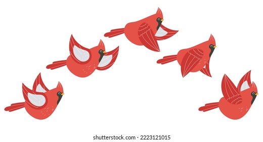 Winter red bird fly steps action design element concept illustration