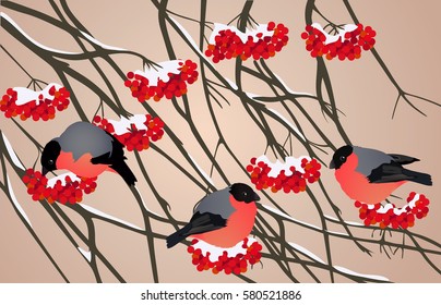 Winter red birds on tree branches
