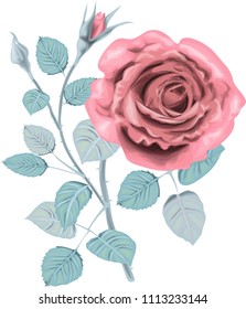 Winter  Roses _ Stylized vector bouquet _ Vintage card