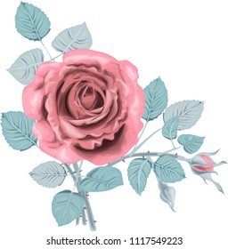 Winter  Roses _ Stylized vector bouquet _ Vintage card