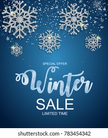 Winter Sale Background Special Offer Banner Background for Business and Advertising. Vector illustration. EPS10