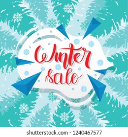 Winter Sale Banner Label Flayer Tag Snowflake Background