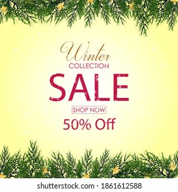 Winter sale collection with fir branches