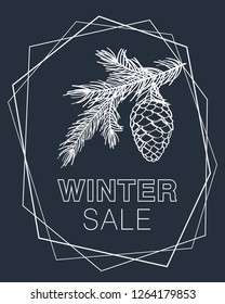 Winter sale poster. Background with pine branches, cone and frame. Hand drawn Christmas, New Year elements with chalk on the blackboard. Vector illustration.