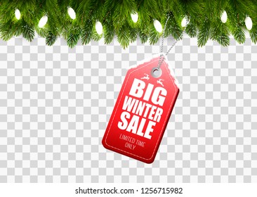 Winter Sale Tag with Christmas branches of tree on transparent background. Vector