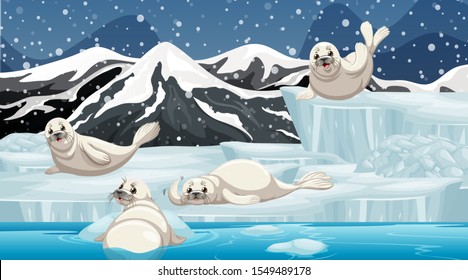Winter scene with four seals on ice illustration