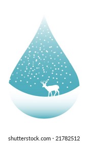 winter scenery