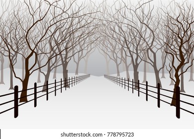 Winter scenery in the park graphic vector