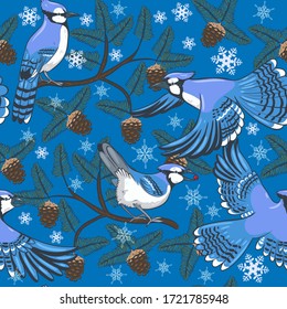 Winter seamless pattern with blue jays and fir branches. Festive Christmas print in blue tones. Vector graphics.