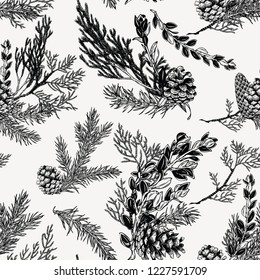 Winter seamless pattern with bouquets of evergreen plants and cones. Hand drawn botanical illustration. Christmas decoration.
