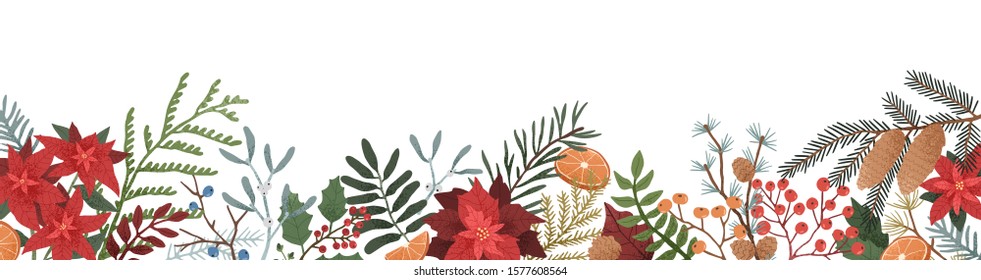 Winter season botanical flat vector illustration. Leaves and branches of poinsettia, mistletoe, spruce and conifer cones composition on white background. Festive christmas backdrop.