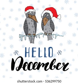 Winter season lettering quote hello december. Hand drawn doodle birds on frozen tree branch in traditional red hats. Vector illustration